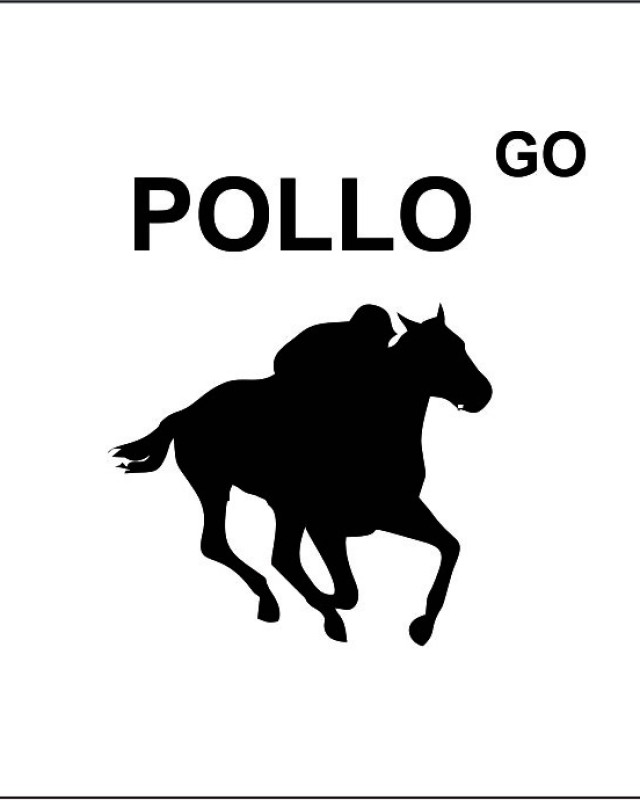 Polo Go