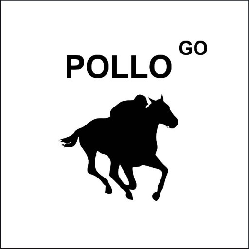 Polo Go